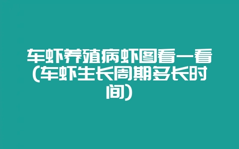 车虾养殖病虾图看一看(车虾生长周期多长时间)-会东网