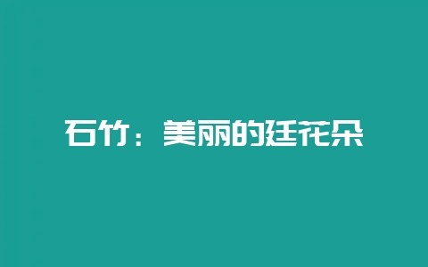 石竹：美丽的廷花朵-会东网