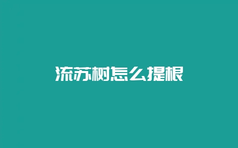 流苏树怎么提根-会东网