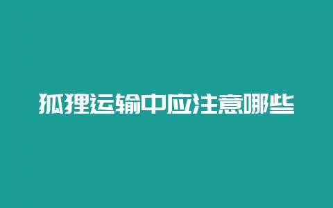 狐狸运输中应注意哪些-会东网