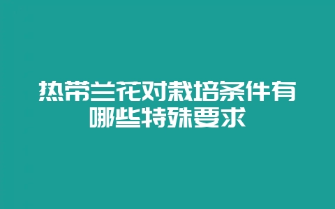 热带兰花对栽培条件有哪些特殊要求-会东网