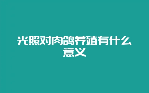 光照对肉鸽养殖有什么意义-会东网