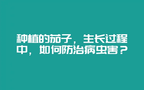 种植的茄子，生长过程中，如何防治病虫害？-会东网
