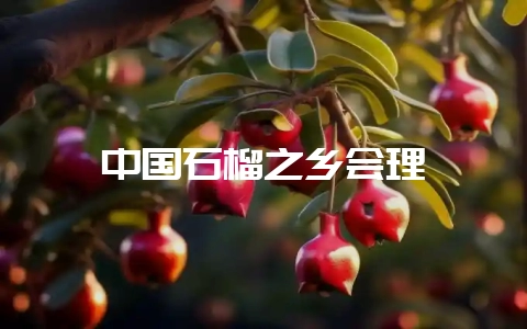 中国石榴之乡会理插图 中国石榴之乡会理插图