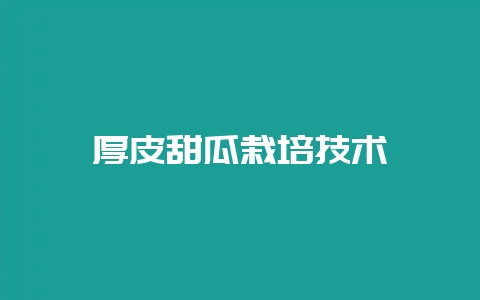 厚皮甜瓜栽培技术-会东网