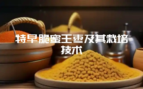 特早脆蜜王枣及其栽培技术-会东网