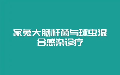 家兔大肠杆菌与球虫混合感染诊疗-会东网