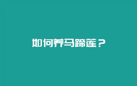 如何养马蹄莲？-会东网