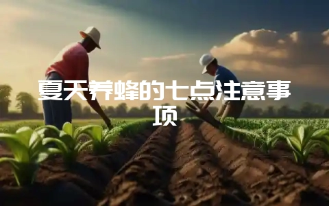 夏天养蜂的七点注意事项-会东网