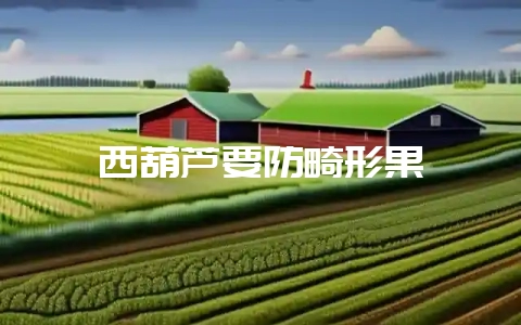 西葫芦要防畸形果-会东网