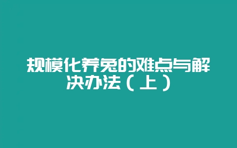 规模化养兔的难点与解决办法（上）-会东网
