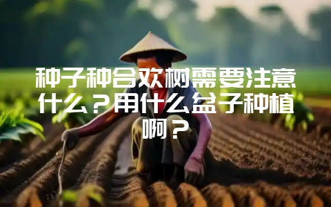 种子种合欢树需要注意什么？用什么盆子种植啊？-会东网