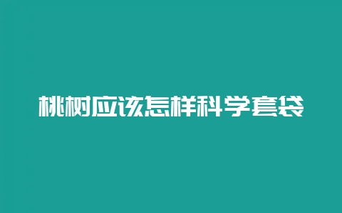 桃树应该怎样科学套袋-会东网