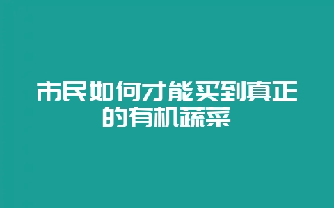 市民如何才能买到真正的有机蔬菜-会东网