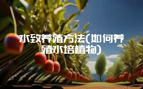 水致养殖方法(如何养殖水培植物)-会东网