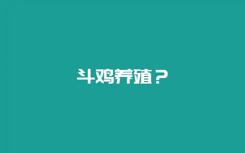 斗鸡养殖?-会东网