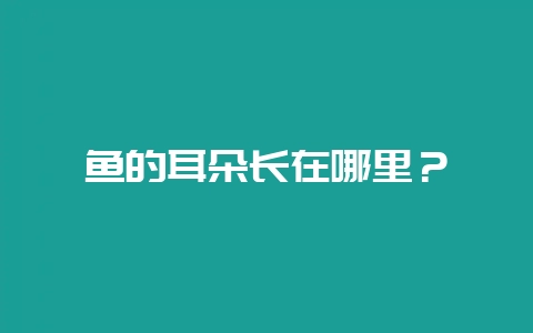 鱼的耳朵长在哪里？-会东网