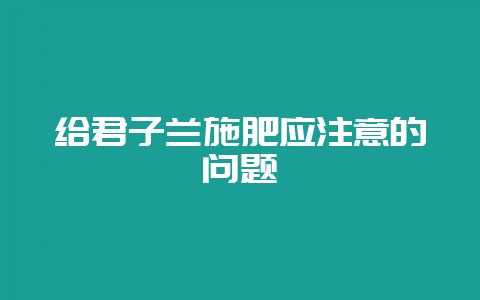 给君子兰施肥应注意的问题-会东网