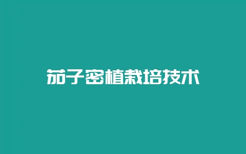 茄子密植栽培技术-会东网