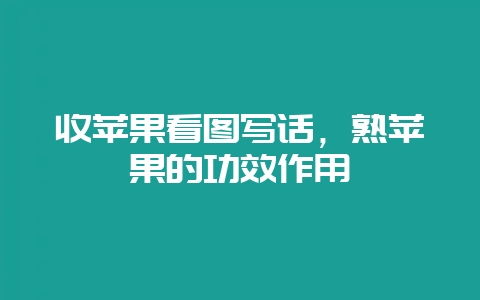 收苹果看图写话,熟苹果的功效作用-会东网