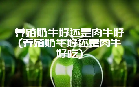 养殖奶牛好还是肉牛好(养殖奶牛好还是肉牛好吃)-会东网