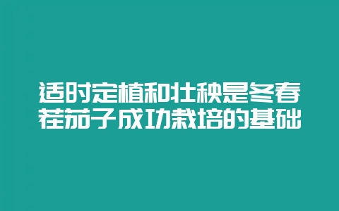 适时定植和壮秧是冬春茬茄子成功栽培的基础-会东网