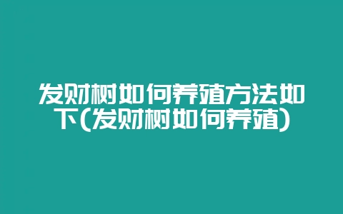 发财树如何养殖方法如下(发财树如何养殖)-会东网