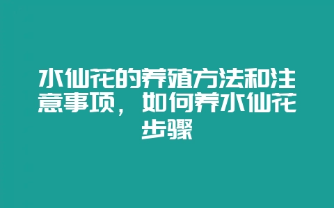 水仙花的养殖方法和注意事项，如何养水仙花步骤-会东网