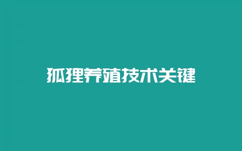 狐狸养殖技术关键-会东网