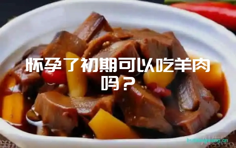 怀孕了初期可以吃羊肉吗?-会东网