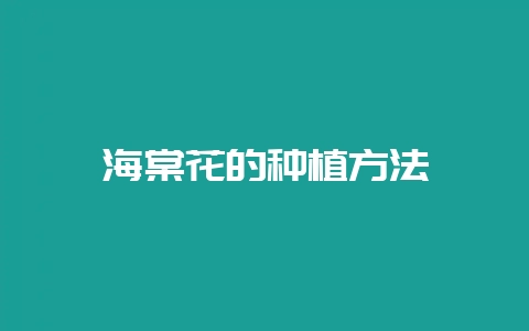 海棠花的种植方法-会东网