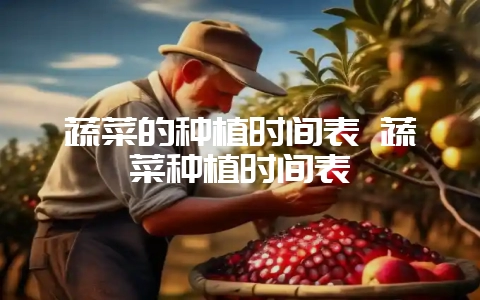 蔬菜的种植时间表 蔬菜种植时间表-会东网