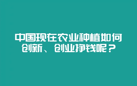 中国现在农业种植如何创新、创业挣钱呢？-会东网