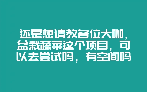 还是想请教各位大咖，盆栽蔬菜这个项目，可以去尝试吗，有空间吗？-会东网
