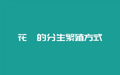 花卉的分生繁殖方式-会东网