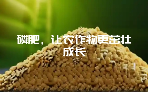 磷肥，让农作物更茁壮成长-会东网