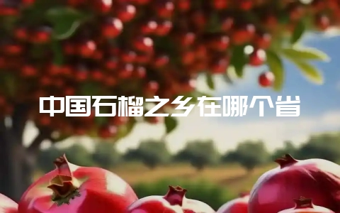 中国石榴之乡在哪个省-会东网