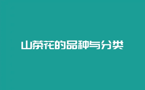 山茶花的品种与分类-会东网