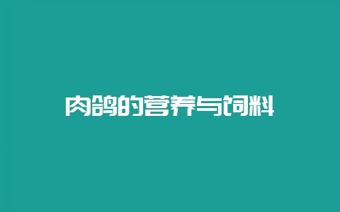 肉鸽的营养与饲料-会东网