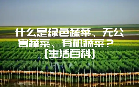 什么是绿色蔬菜、无公害蔬菜、有机蔬菜？ [生活百科]-会东网