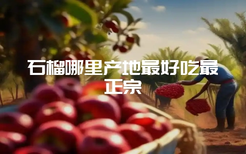 石榴哪里产地最好吃最正宗插图 石榴哪里产地最好吃最正宗插图