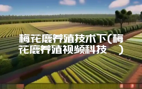 梅花鹿养殖技术下(梅花鹿养殖视频科技苑)-会东网