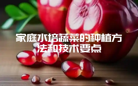 家庭水培蔬菜的种植方法和技术要点-会东网