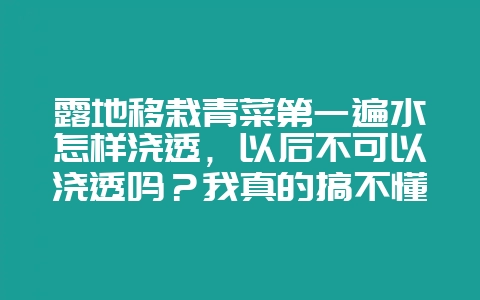露地移栽青菜第一遍水怎样浇透，以后不可以浇透吗？我真的搞不懂，怎样才算浇透？第一，片水，谢谢帮忙-会东网