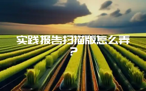 实践报告扫描版怎么弄？-会东网