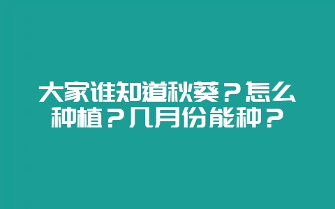 大家谁知道秋葵？怎么种植？几月份能种？-会东网