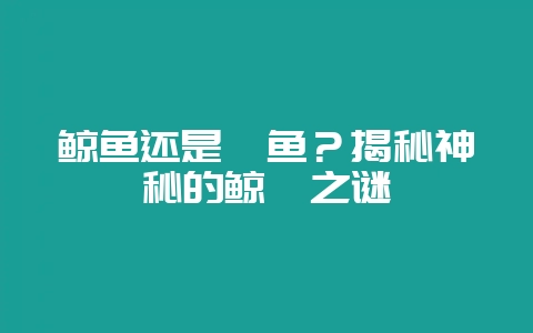 鲸鱼还是鲨鱼？揭秘神秘的鲸鲨之谜-会东网
