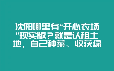 沈阳哪里有“开心农场”现实版?就是认租土地,自己种菜、收获绿色无污染蔬菜的?-会东网