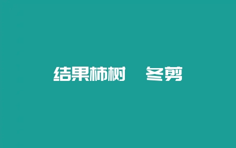 结果柿树咋冬剪-会东网
