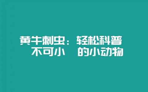 黄牛刺虫：轻松科普  不可小觑的小动物-会东网
